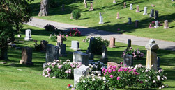 Alameda Cremations Inc